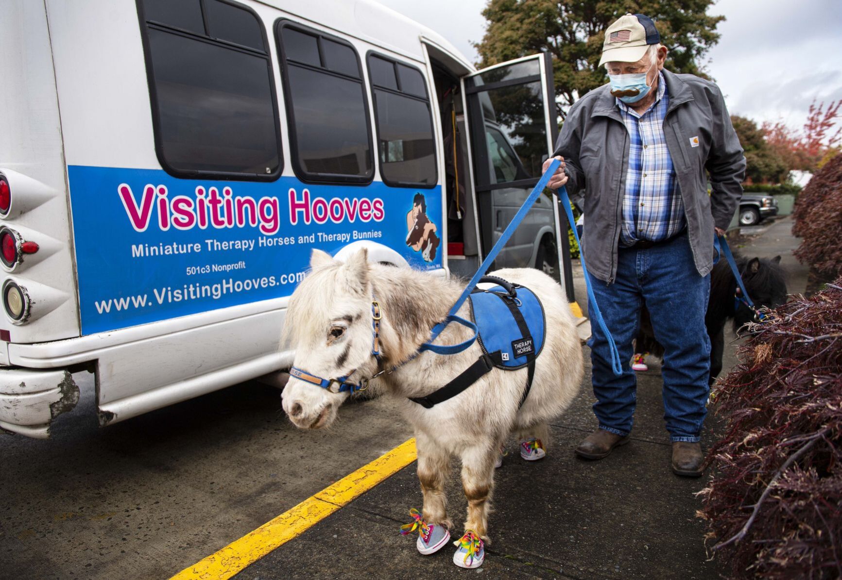 Mini horses visit cancer center